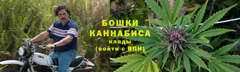 закладка  Новотроицк  Бошки Шишки Ganja 